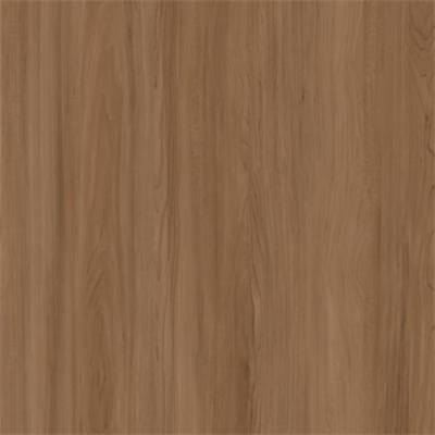 Autumn Maple